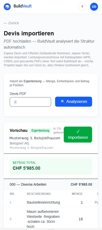 Vorschau nach der Analyse: Projekt, Betrag total und Positionen